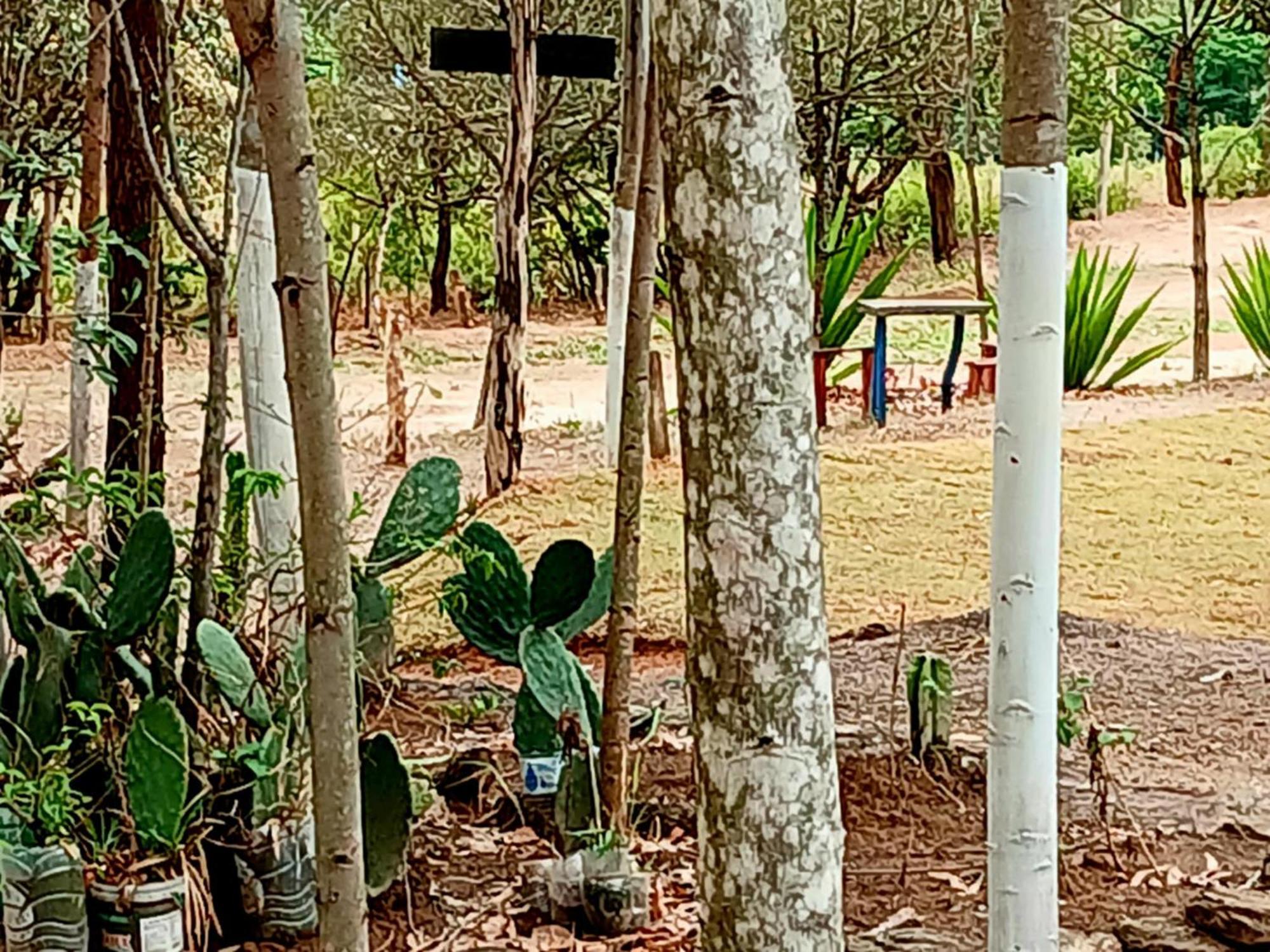Camping Avohai Sao Tome das Letras Exterior photo